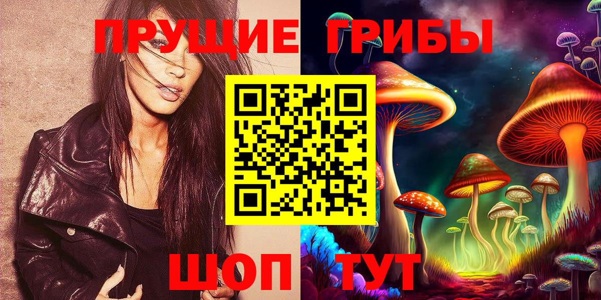 Псилоцибиновые грибы мицелий Муравленко