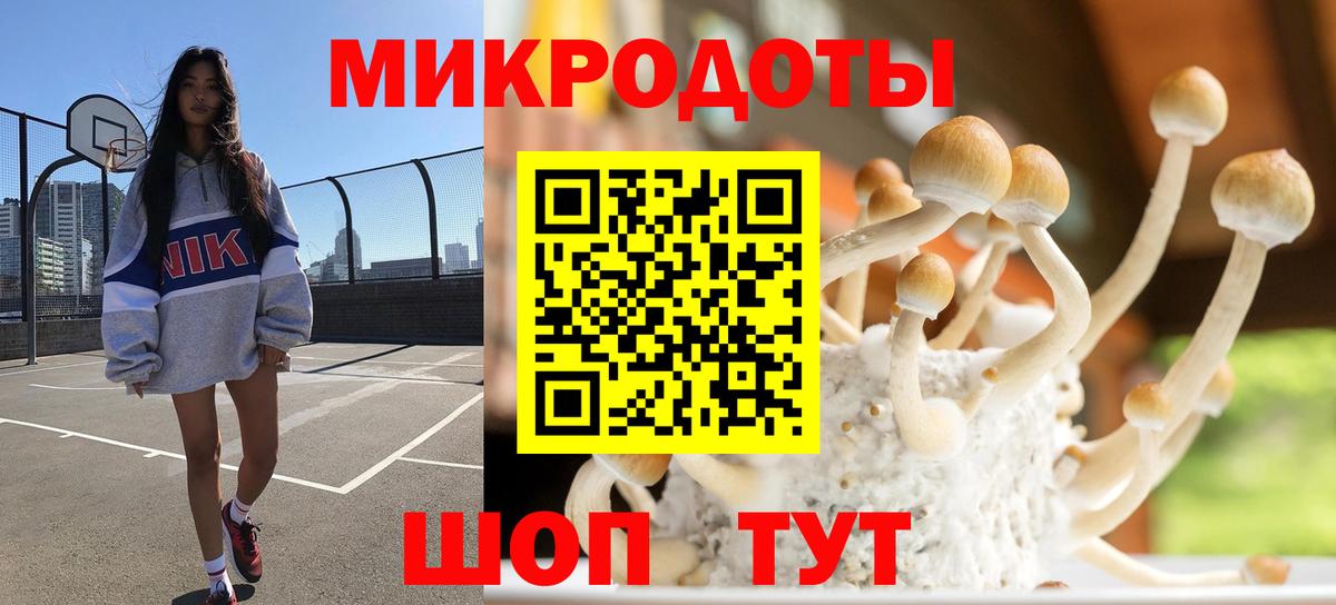 Галлюциногенные грибы ЛСД  магазин  наркотиков  Муравленко  Вход с VPN 